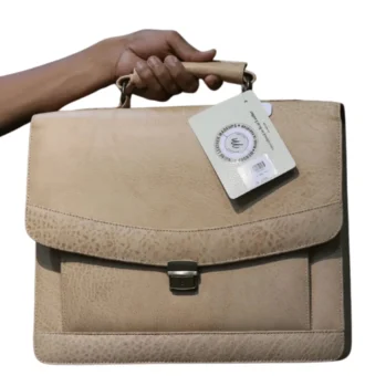 Beige Formal Laptop Bag in File Bag Style